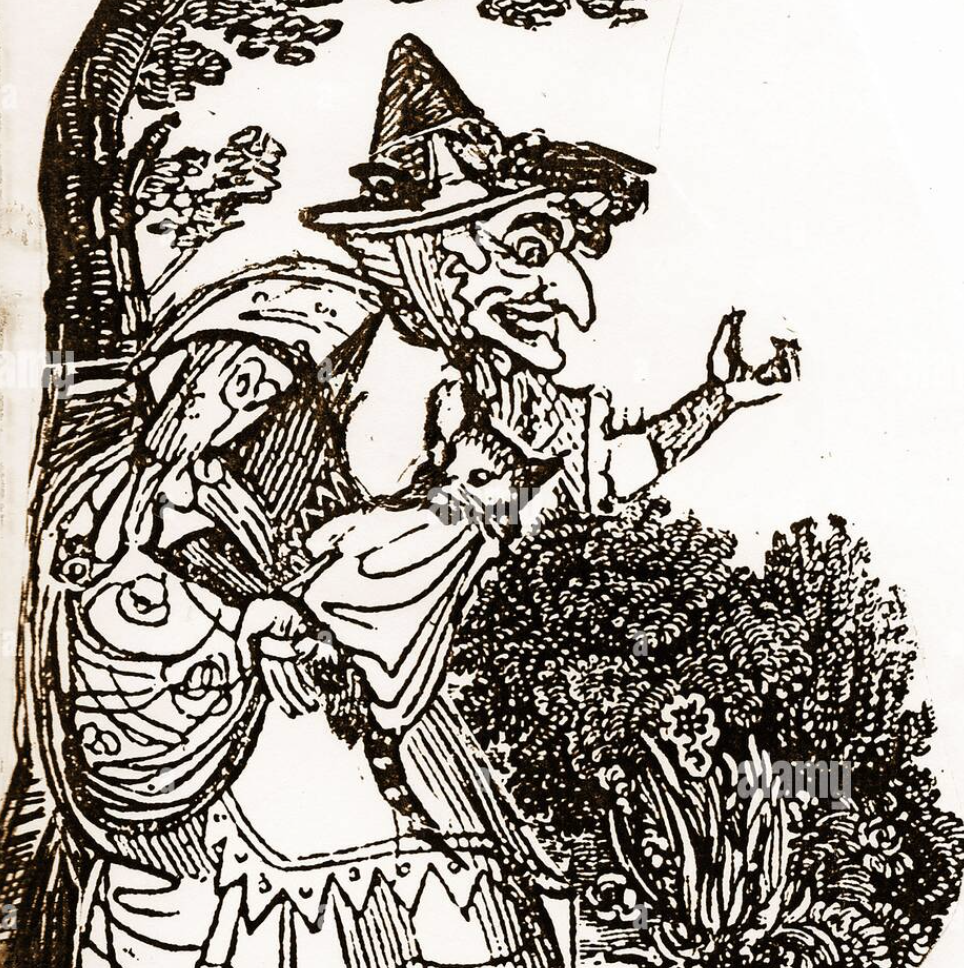 Animal Familiar Spells