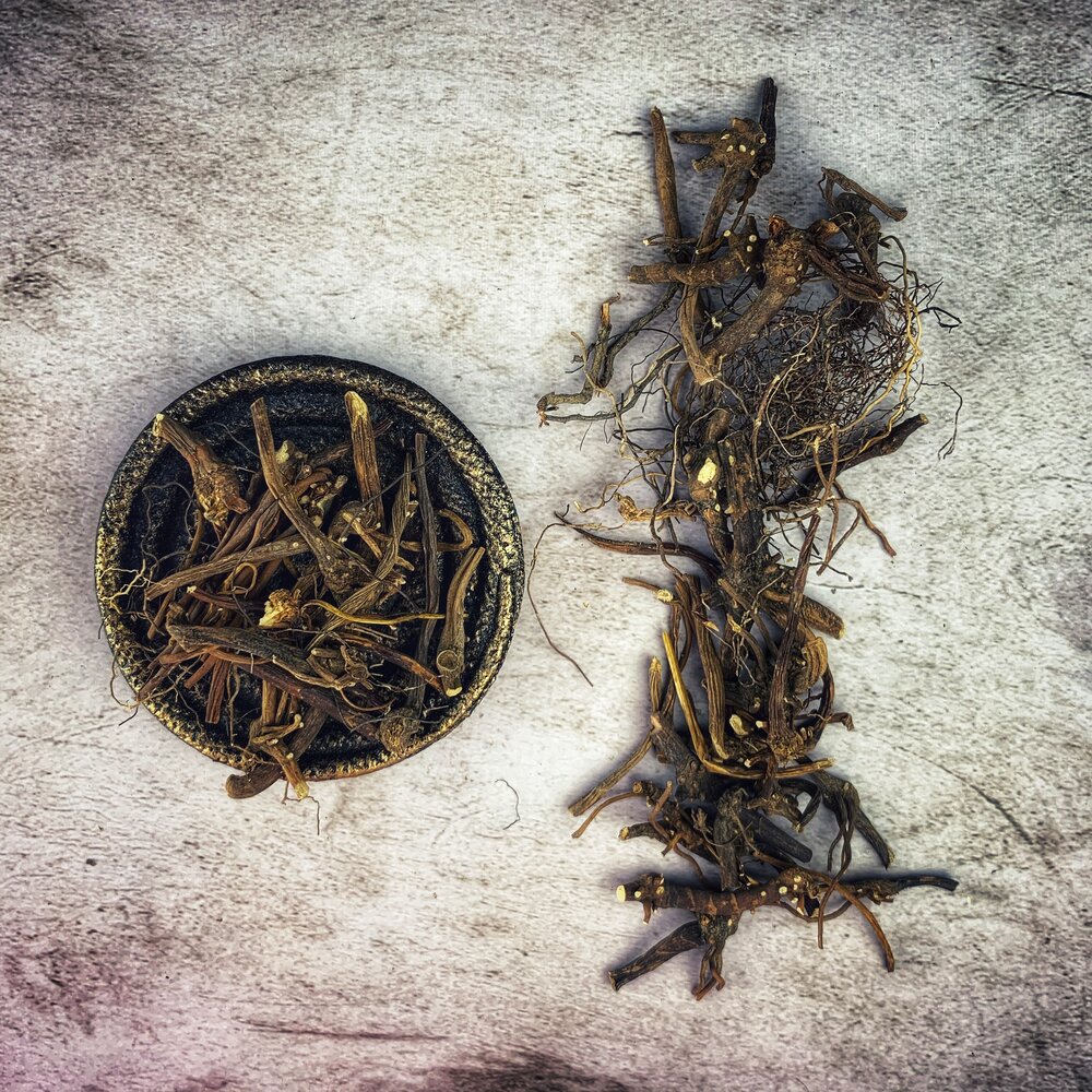 American Mandrake Root - Whole - Wildharvested