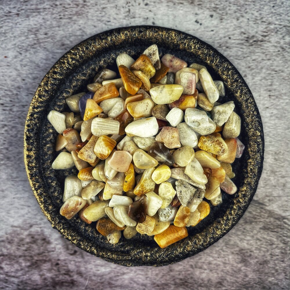 Agatized Coral Gem Chips