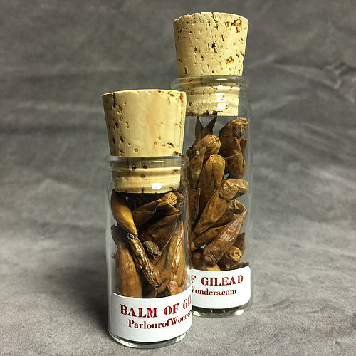 Balm of Gilead Buds