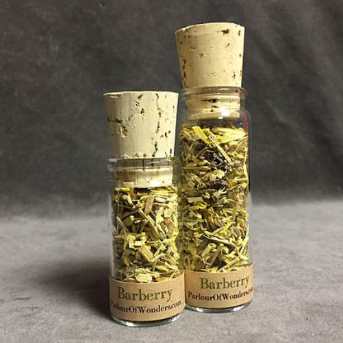 Barberry - Organic