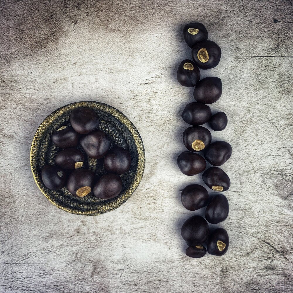 Buckeye Nut - Wildharvested