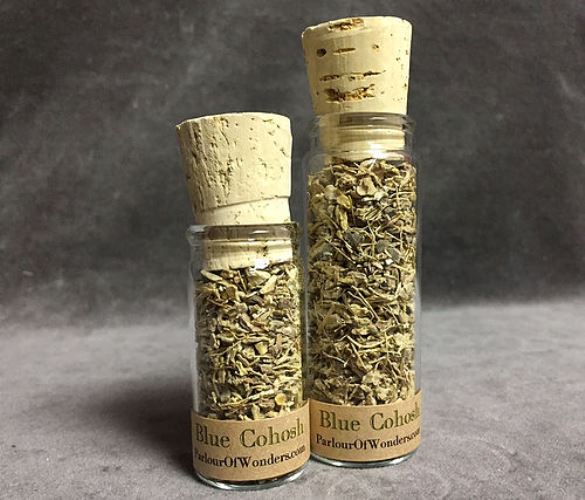 Blue Cohosh - Organic