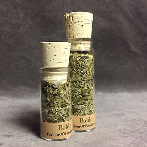 Boldo - Organic