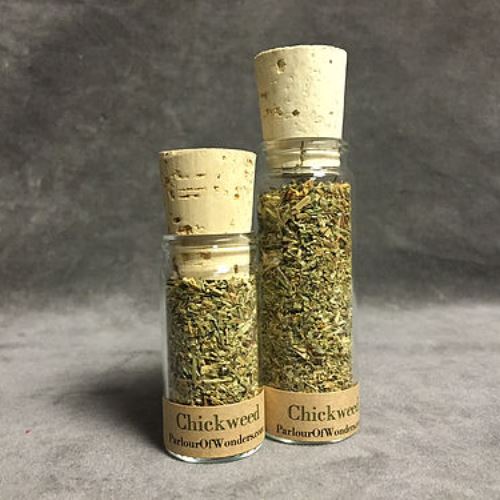 Chickweed - Organic
