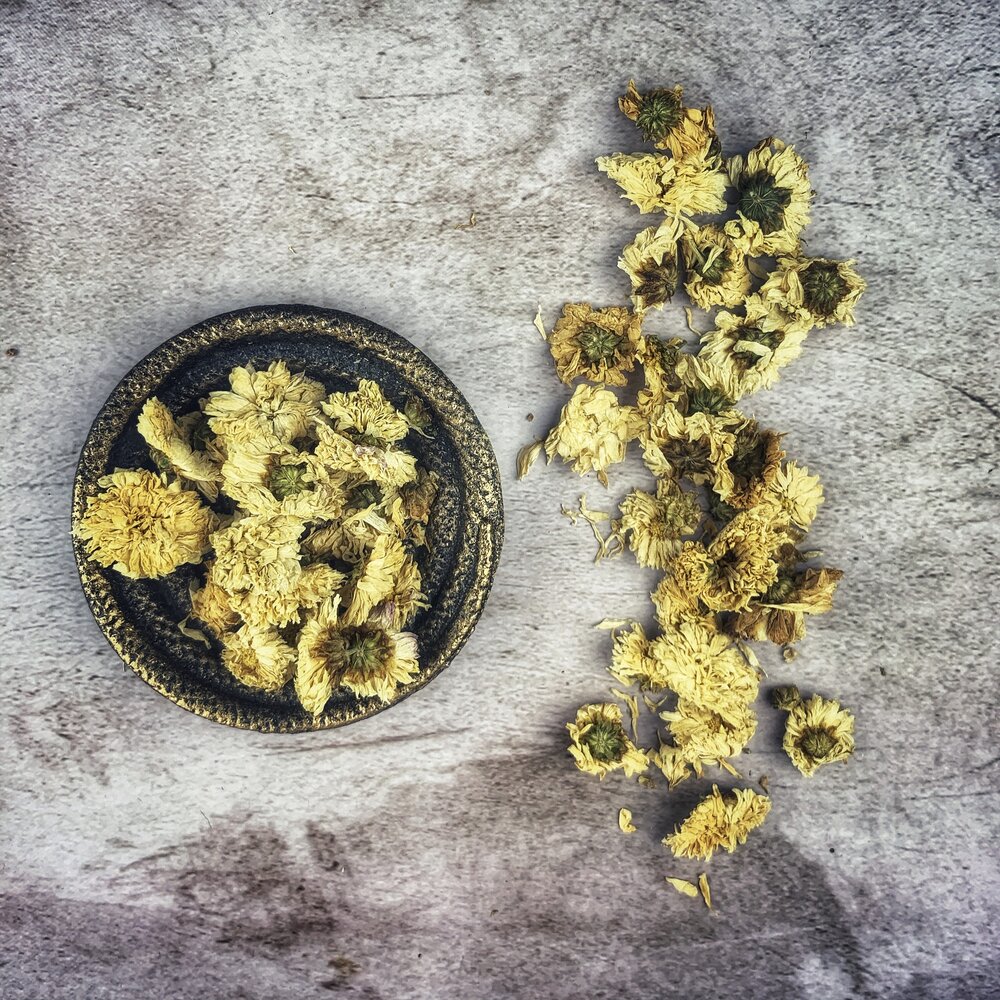 Chrysanthemum Flowers