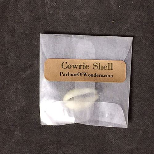 Cowrie Shells - Golden Ring