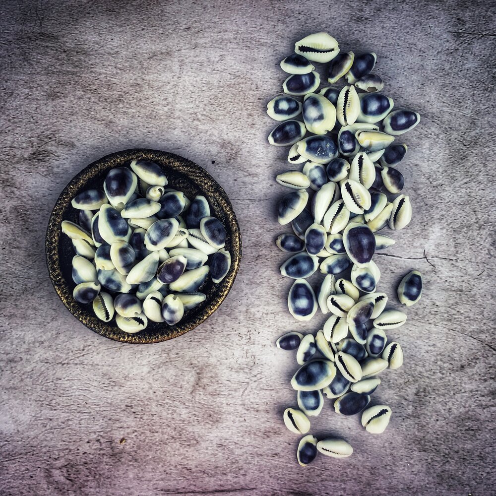 Cowrie Shells - Blue