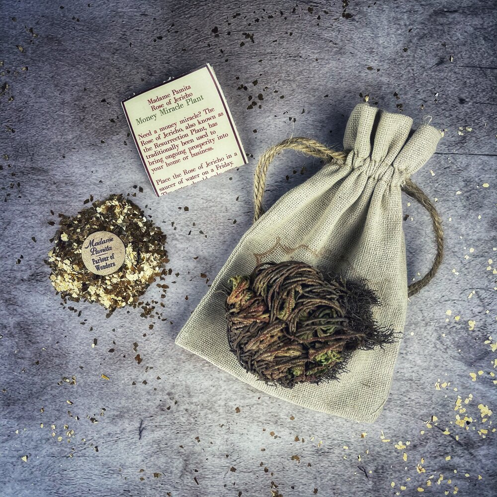 Money Miracle Rose of Jericho Spell Kit