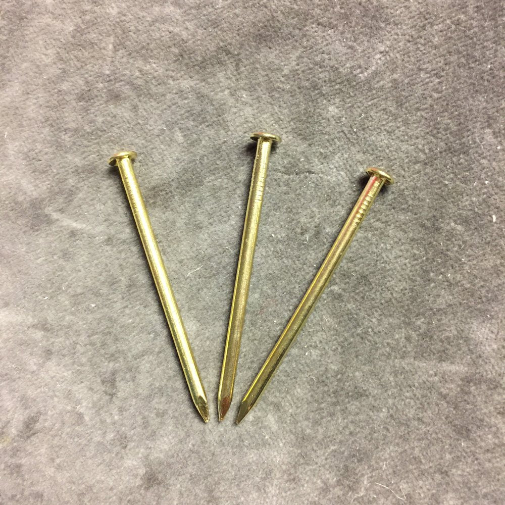 2" Small Brass Nail
