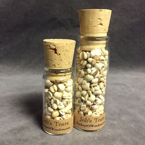 Job's Tears - Cut & Sifted