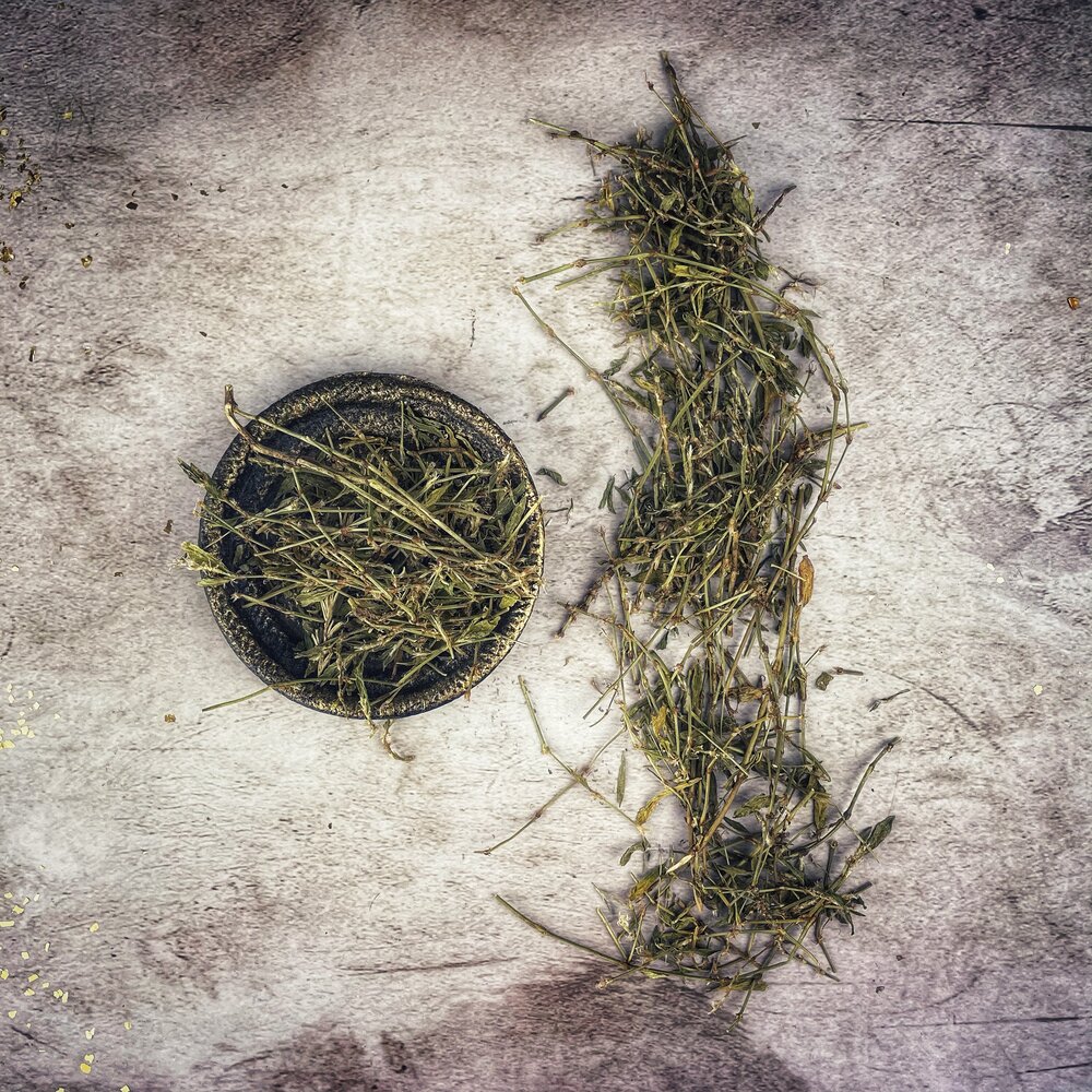 Knotweed - Organic