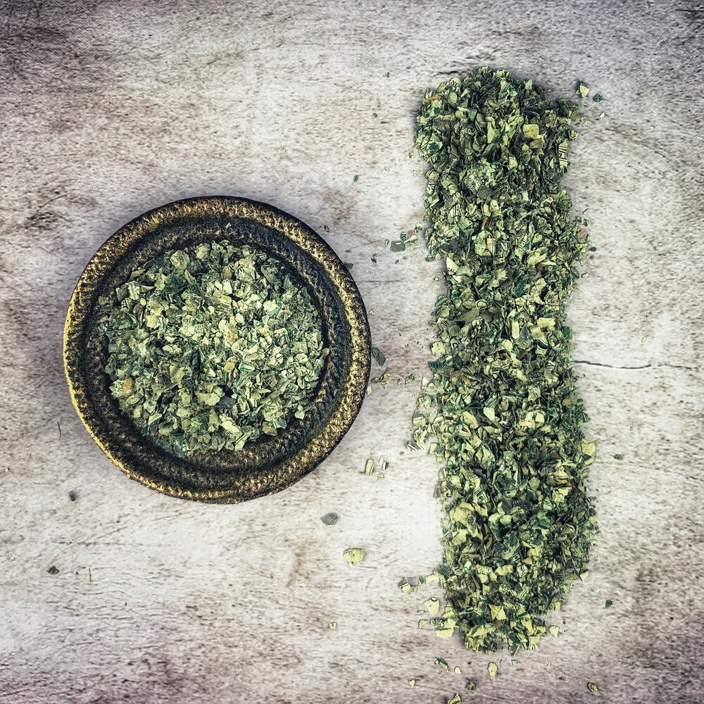 Money - Shredded Dollar Bills