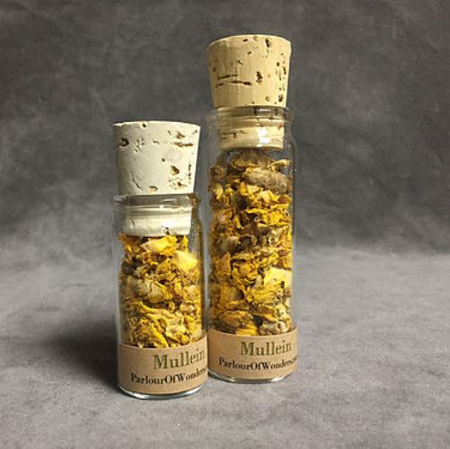 Jupiter's Staff - Organic