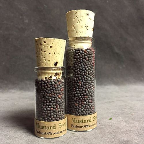 Mustard Seed (Black) - Organic