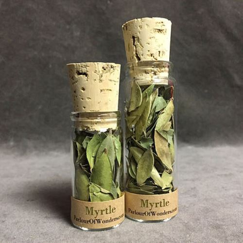 Myrtle - Organic