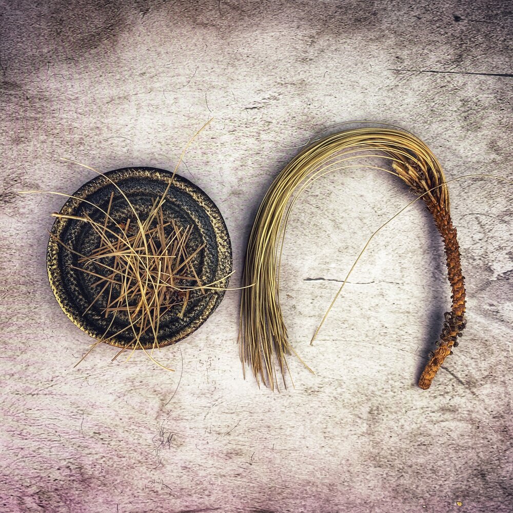 Pine - Wildharvested