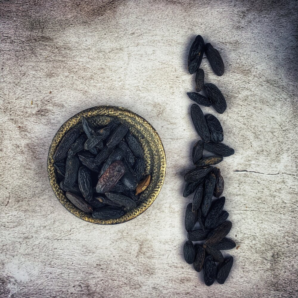 Tonka Beans - Wildharvested