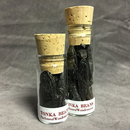 Tonka Beans - Wildharvested