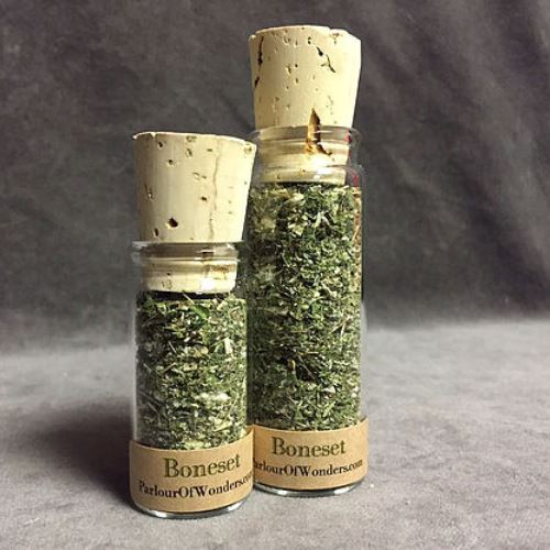 Boneset - Organic