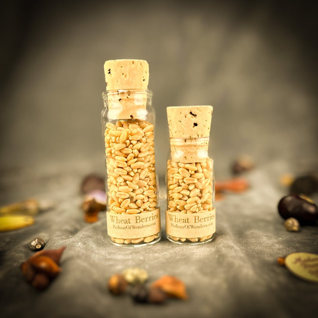 Wheat Berries - Whole Grain for Prosperity, Abundance & Fertility Magic